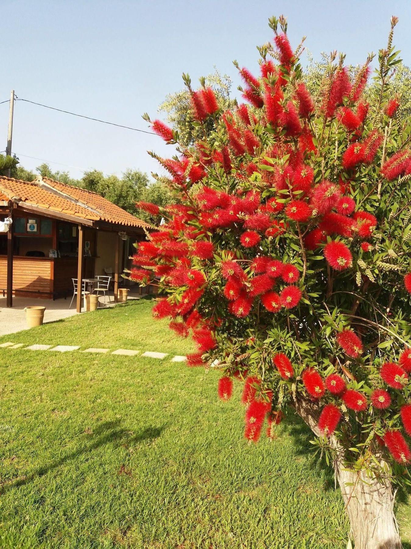 Sole E Mare Apartments Τσιλιβί Εξωτερικό φωτογραφία