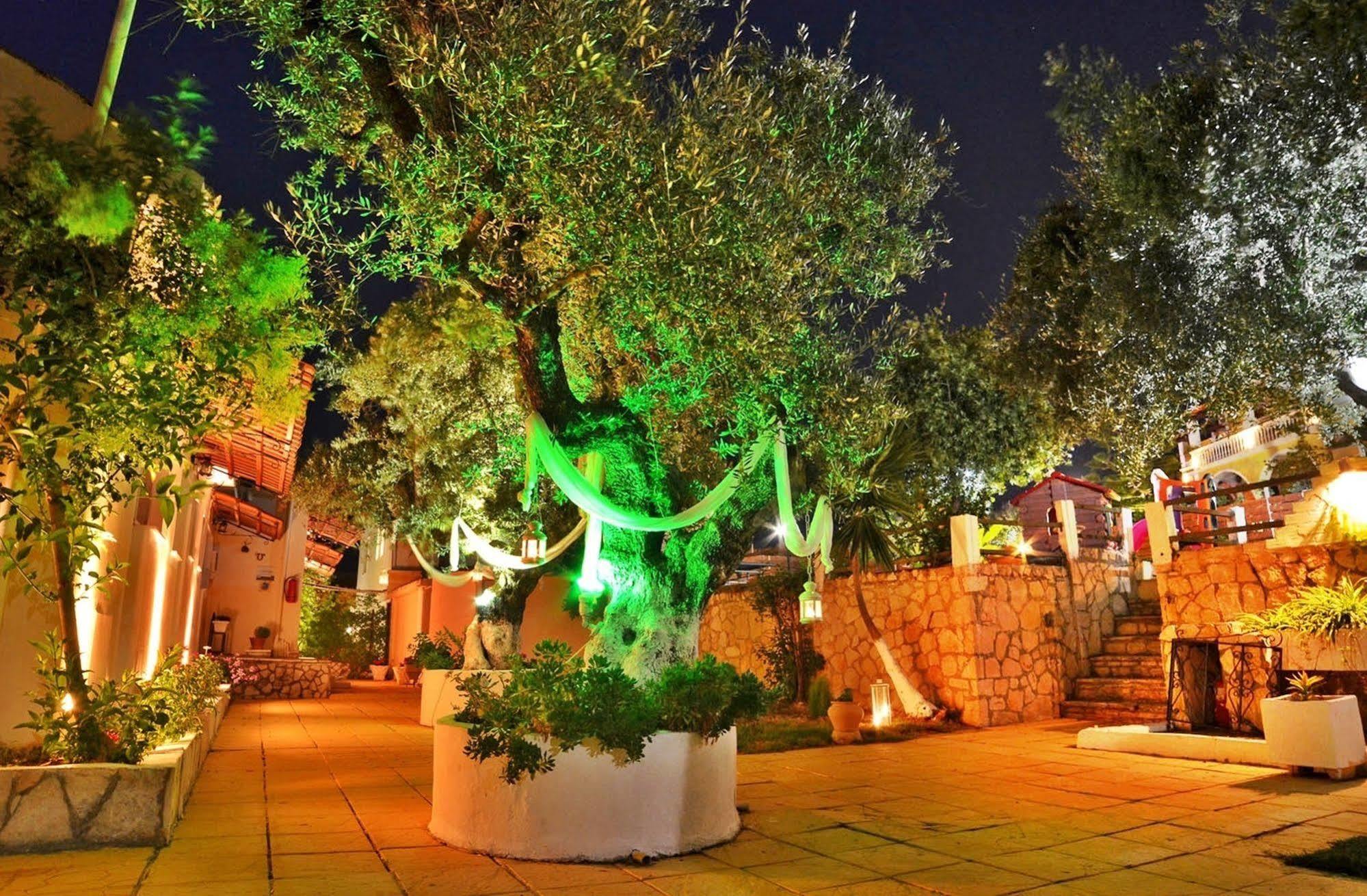 Sole E Mare Apartments Τσιλιβί Εξωτερικό φωτογραφία